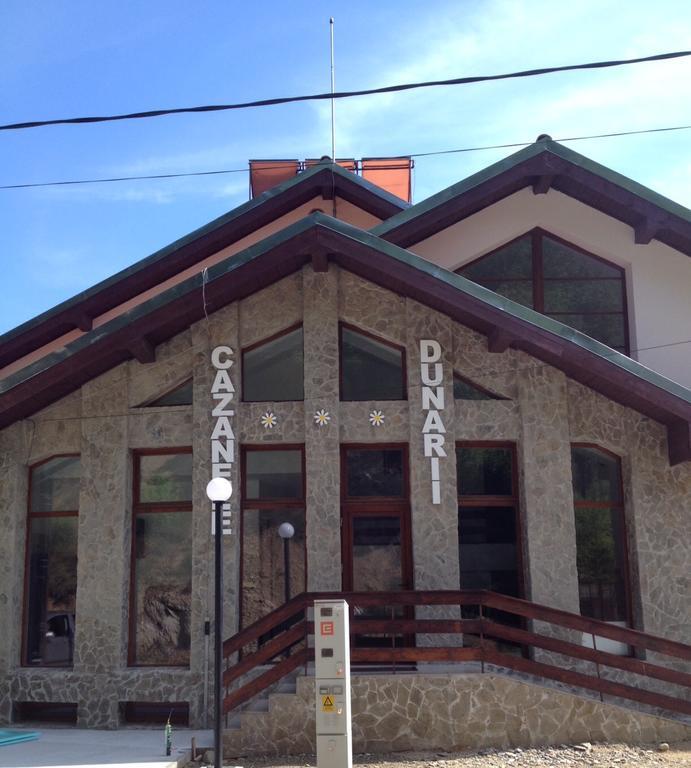 Pensiunea Cazanele Dunarii Dubova Exterior photo